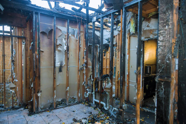 Professional Fire Damage Removal technician working in Green Lane, PA